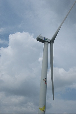 wb9.jpg